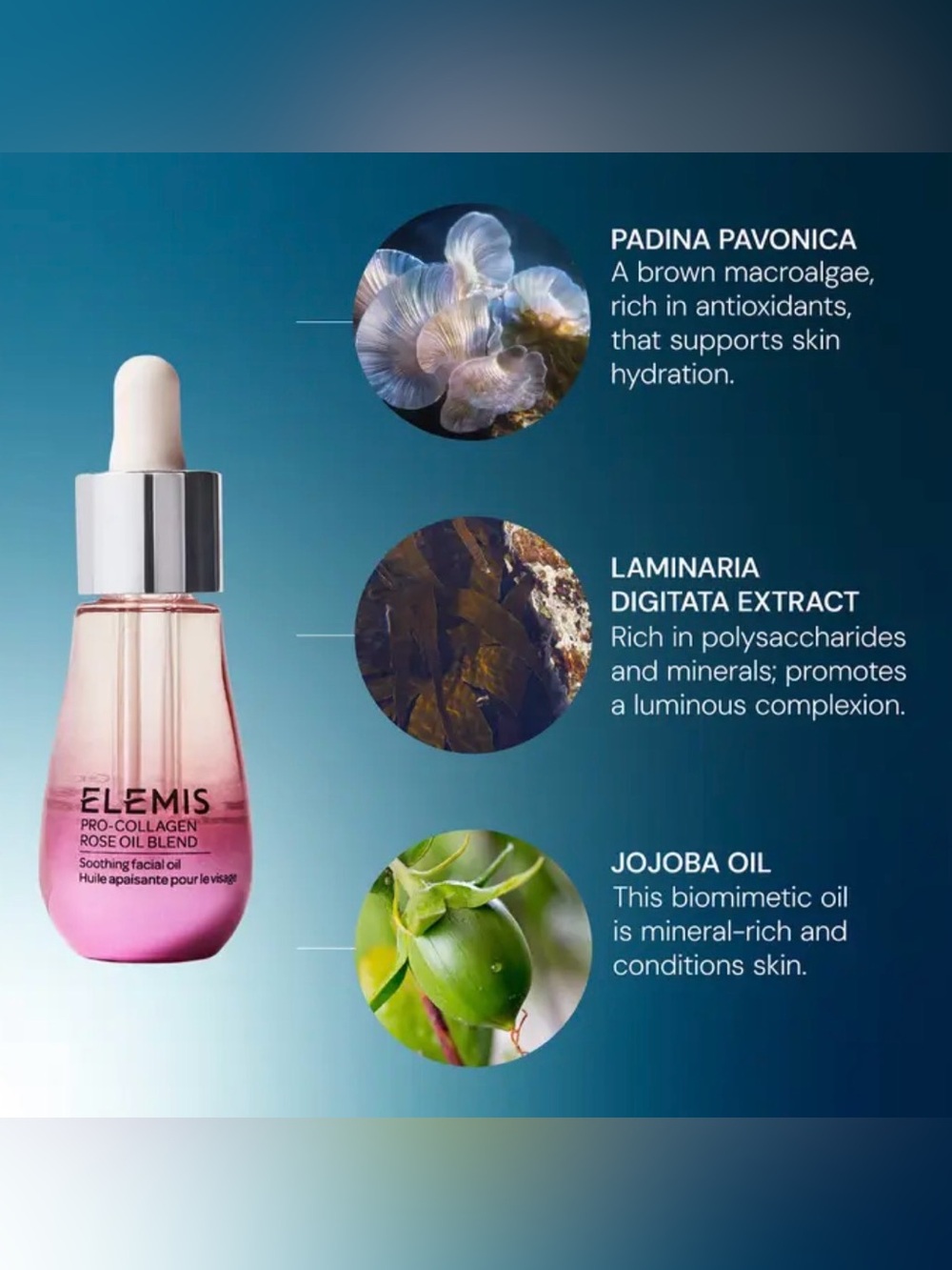 ELEMIS PRO-COLLAGEN ROSE OIL BLEND - Picture 5 of 5
